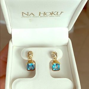 Blue Topaz earnings